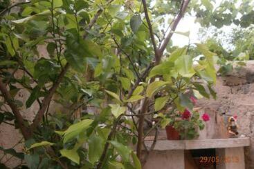 پانسیون Kupenova Guest House