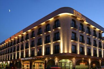 Sercotel Guadiana