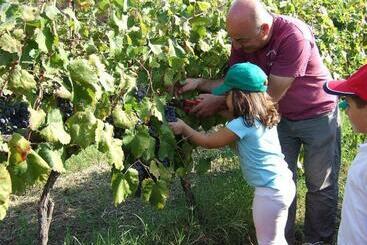 هتل Agriturismo Parra