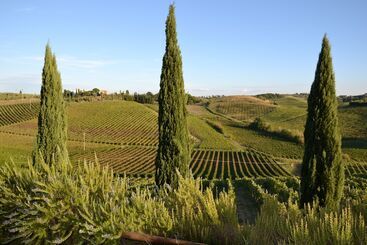 هتل Agriturismo Corte In Poggio