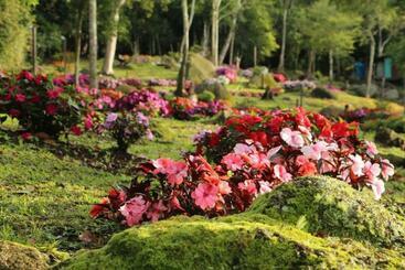 هتل Spring Garden