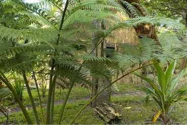 هتل Tanna Eco Venture Bungalow