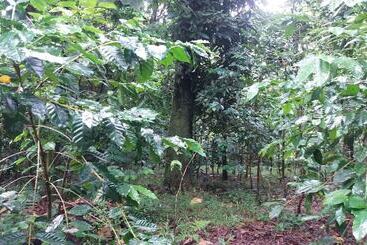 هتل Tanna Eco Venture Bungalow