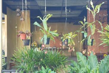 Palm Pran Resort