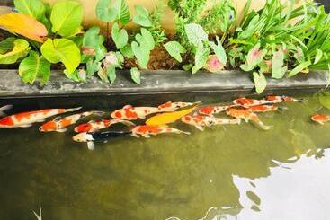 Palm Pran Resort