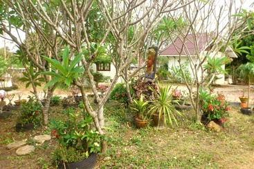 Suanlamyai Resort