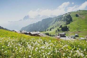 هتل Des Portes Du Soleil