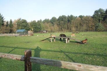 B&b De Kroonhoeve
