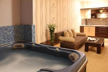 Business Hotel Premier