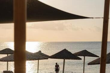 هتل Afroditi Venus Beach Resort