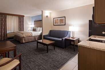 هتل Best Western Plus Flint Airport Inn & Suites