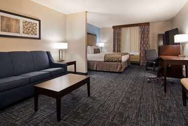 هتل Best Western Plus Flint Airport Inn & Suites