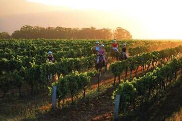 هتل Hunter Valley Resort, Hunter Farm Adventure Centre & 4 Pines At The Farm