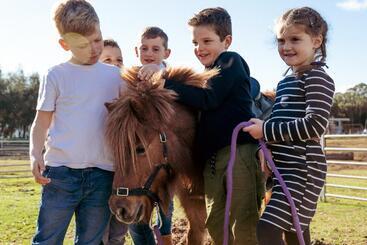 هتل Hunter Valley Resort, Hunter Farm Adventure Centre & 4 Pines At The Farm