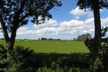 B&b Hoogholtje