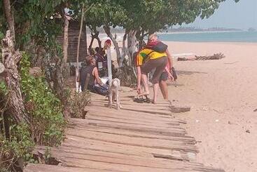 ベッドアンドブレックファースト Green Zion Garden