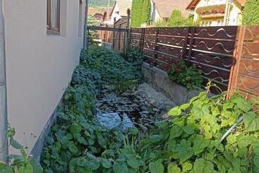 Nárcisz B&b