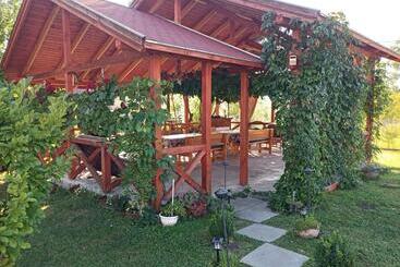 Nárcisz B&b