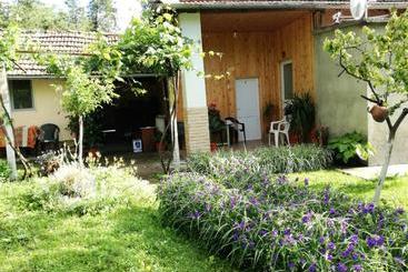 بنسيون Divna Guest House