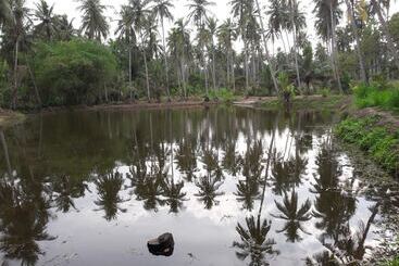 Ulpatha Nature Resort