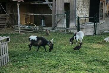 تختخواب و صبحانه La Petite Ferme