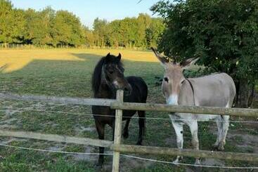 تختخواب و صبحانه La Petite Ferme