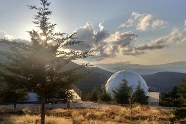 تختخواب و صبحانه Natura Glamping