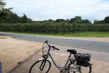 B&b De Fruithoeve