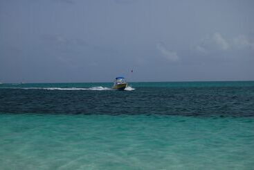 هتل Coral Gardens On Grace Bay