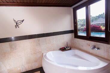 هتل The Payogan Villa Resort And Spa