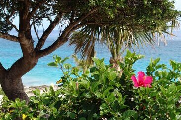 هتل Coco Reef Bermuda