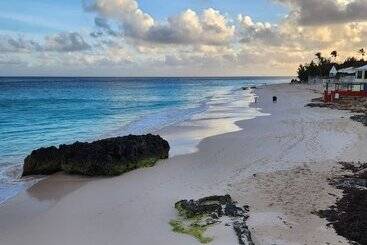 هتل Coco Reef Bermuda
