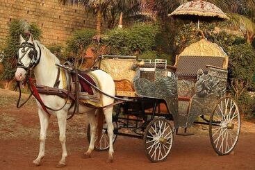 هتل The Raj Palace