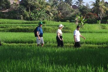 هتل The Sungu Resort & Spa