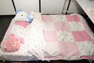 פנסיון South Island