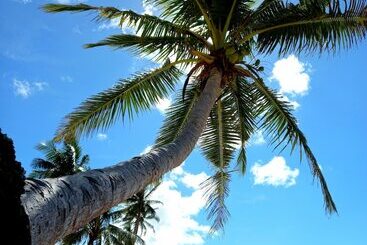 Sigasiga Sands Boutique Resort