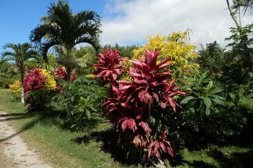 Sigasiga Sands Boutique Resort