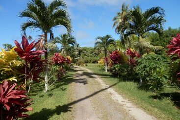 Sigasiga Sands Boutique Resort
