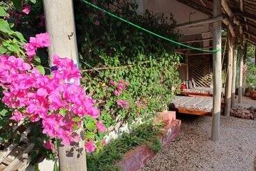 پانسیون Baridi Villa