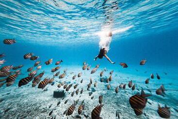 هتل B Cozumel