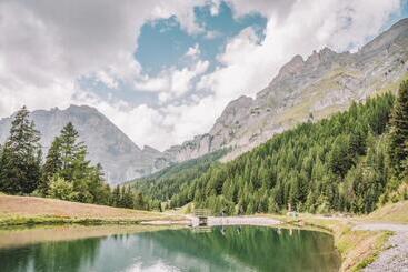 Thermal Hotels & Walliser Alpentherme Leukerbad