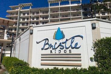 Rosarich Homestay   Bristle Ridge Residences