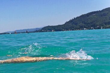 هتل Garni Seerösl Am Wörthersee , Kärnten