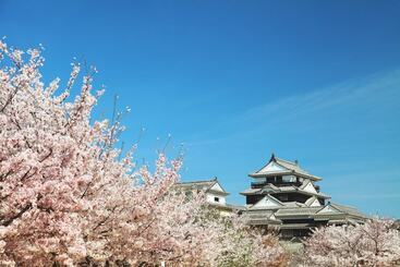 هتل Ana Crowne Plaza Matsuyama, An Ihg