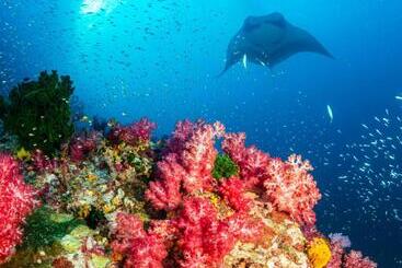 هتل Ayana Komodo Waecicu Beach