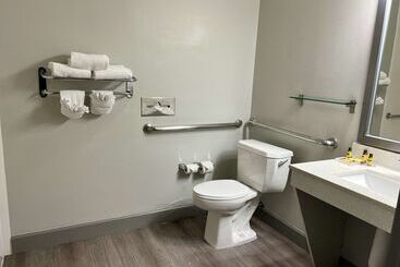 هتل Best Western Plus Hobby Airport Inn And Suites