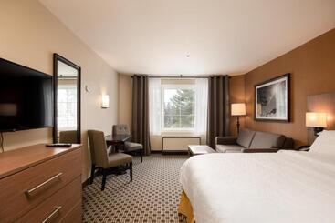 酒店 Holiday Inn Express & Suites Tremblant, An Ihg