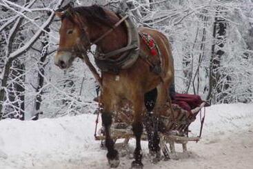 ホテル Le Grand Lodge Mont Tremblant