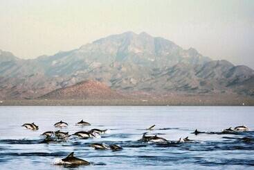 هتل Loreto Bay Golf Resort & Spa At Baja
