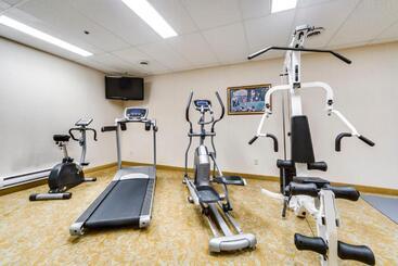 هتل Monte Carlo Inn Brampton